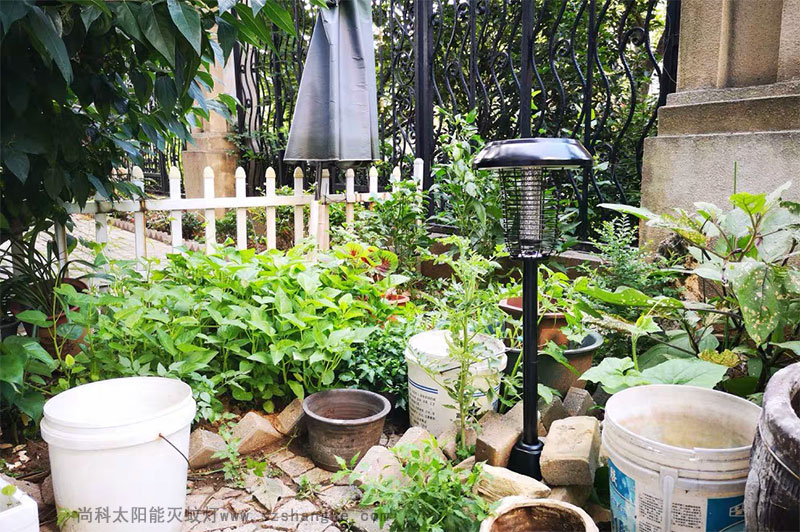 戶(hù)外滅蚊親測(cè)：滅蚊燈效果怎么樣？到底有用嗎