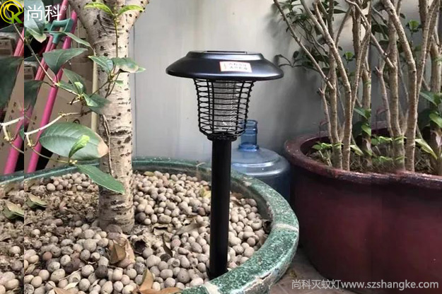 陽(yáng)臺(tái)花盆中的黑色小飛蟲(chóng)怎么消滅？